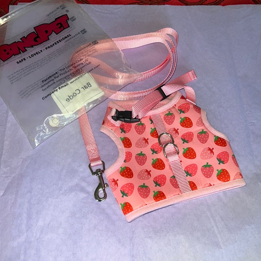 Strawberry dog harness with leash